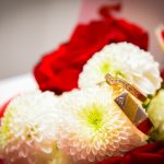 _DSC8595r